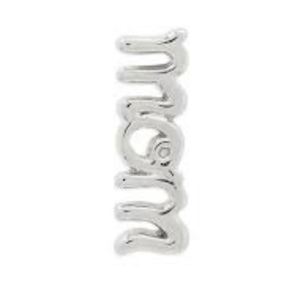 NWT Keep Collective Silver MOM